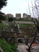 Wadi Shueib (11)